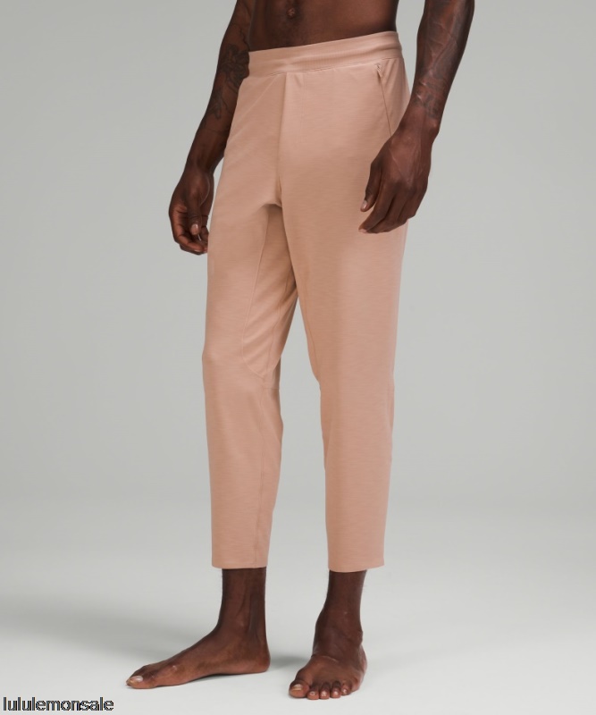 Lululemon Deutschland DELULU714 | Balancer Pant 27 Heathered Pink Clay